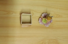 Carica l&#39;immagine nel visualizzatore di Gallery, FATA - &quot;BABYFAIRY&quot; - SEGNO ZODIACALE - PORTAGIOIE BOX - TORO
