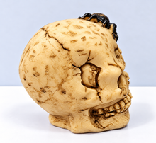 Carica l'immagine nel visualizzatore di Gallery, TESCHIO SCHELETRO

