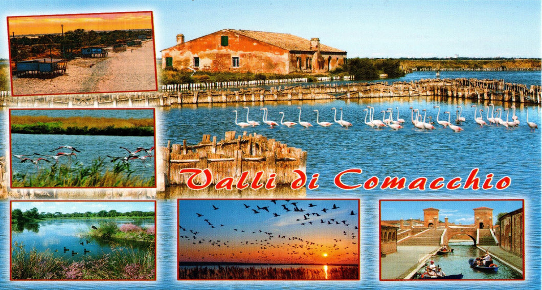 CARTOLINA VALLI DI COMACCHIO 01