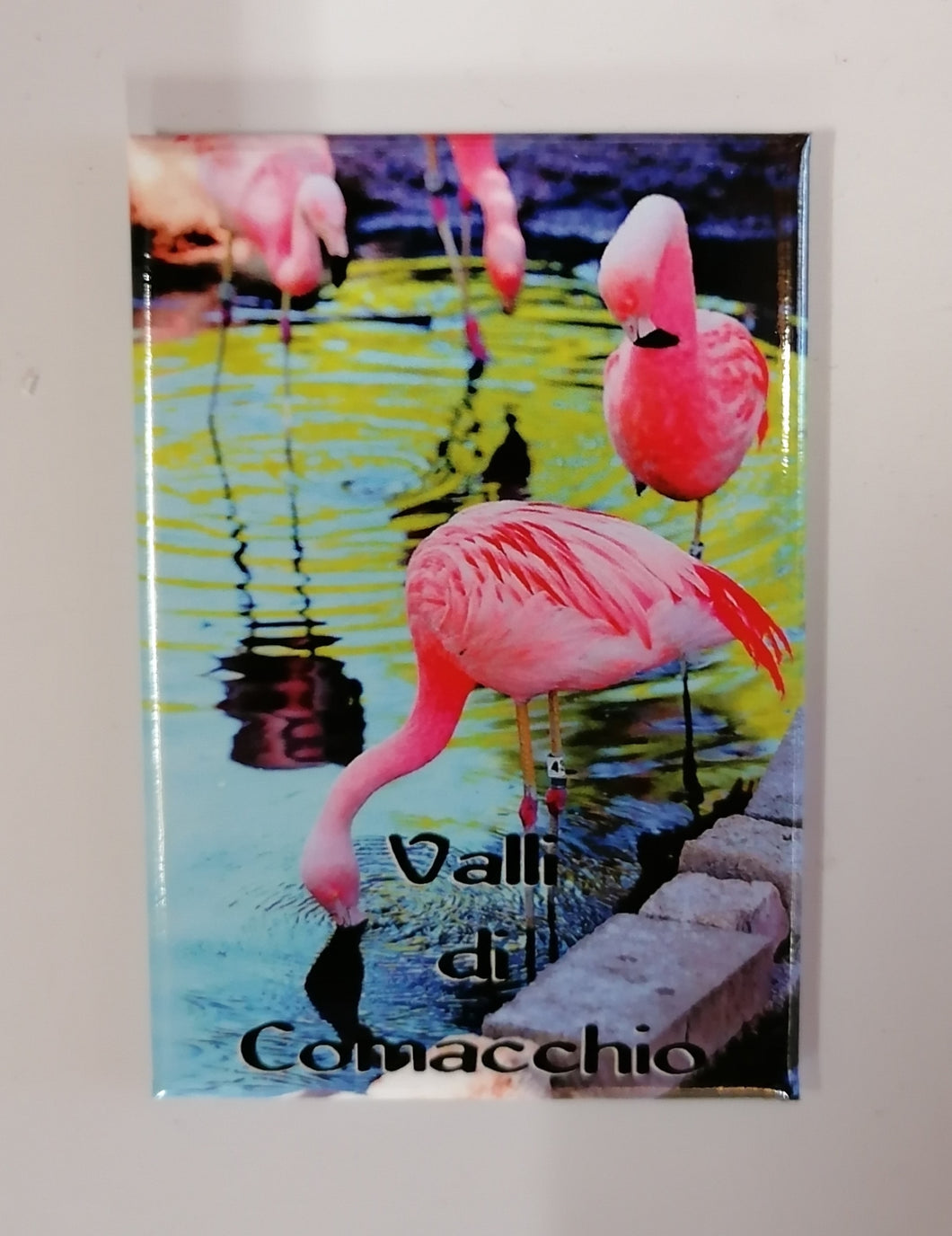 Calamita Magnete - COMACCHIO - cro - MET - FENICOTTERI ROSA / VALLI DI COMACCHIO
