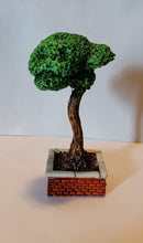 Carica l&#39;immagine nel visualizzatore di Gallery, Miniatura Modellino ALBERO
