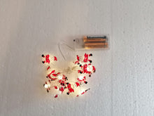 Carica l&#39;immagine nel visualizzatore di Gallery, BABBO NATALE - LUCI LED
