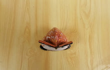 Carica l'immagine nel visualizzatore di Gallery, GUFO - LEGNO - 02
